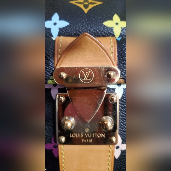 Louis Vuitton Multicolor Speedy - Picture 7 of 16